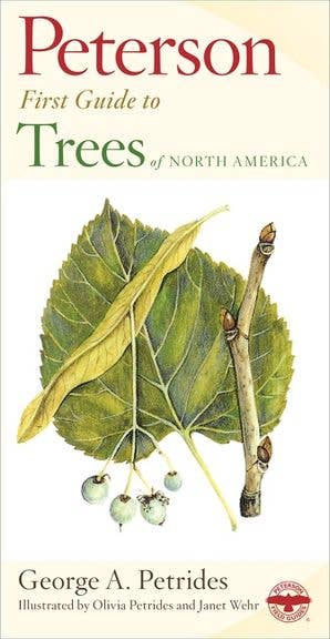 Peterson First Guide to Trees: George A. Petrides