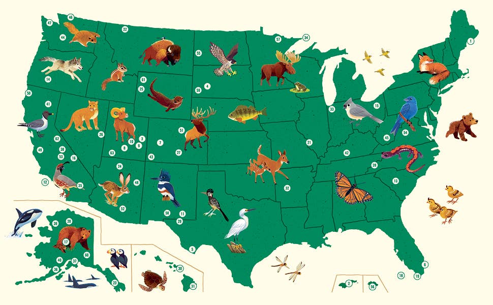 Animals of the National Parks