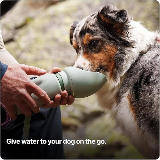 SÄKER Portable Dog Water Bottle - 750 ml