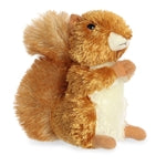 Red Squirrel