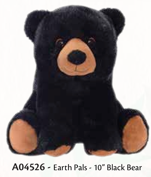 Black Bear