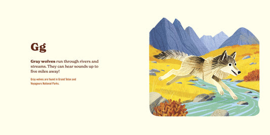 Animals of the National Parks