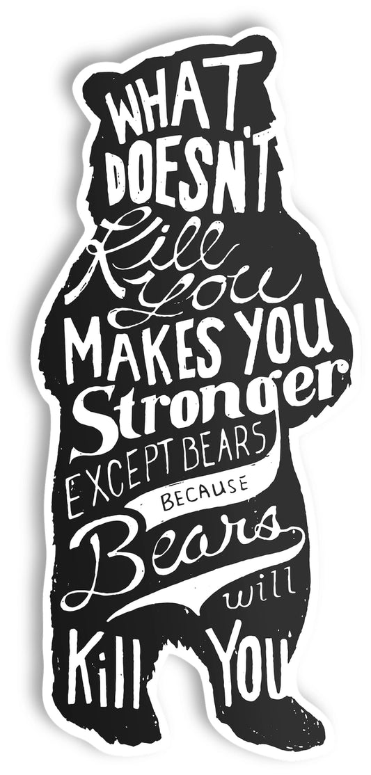 Bear Sticker