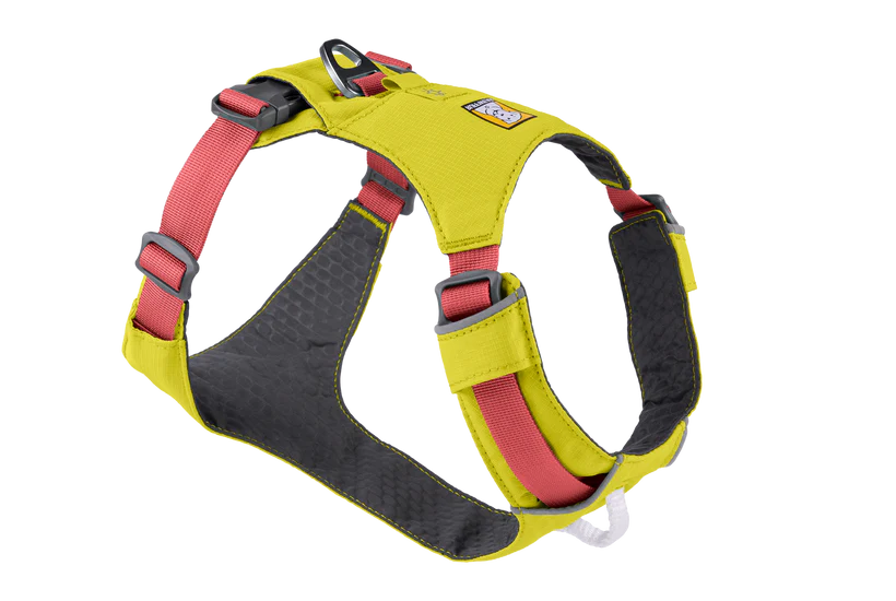 HI & LIGHT™ HARNESS