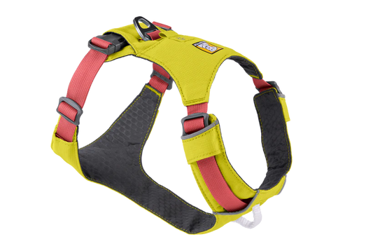 HI & LIGHT™ HARNESS