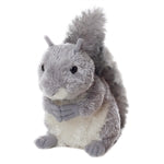 Gray Squirrel