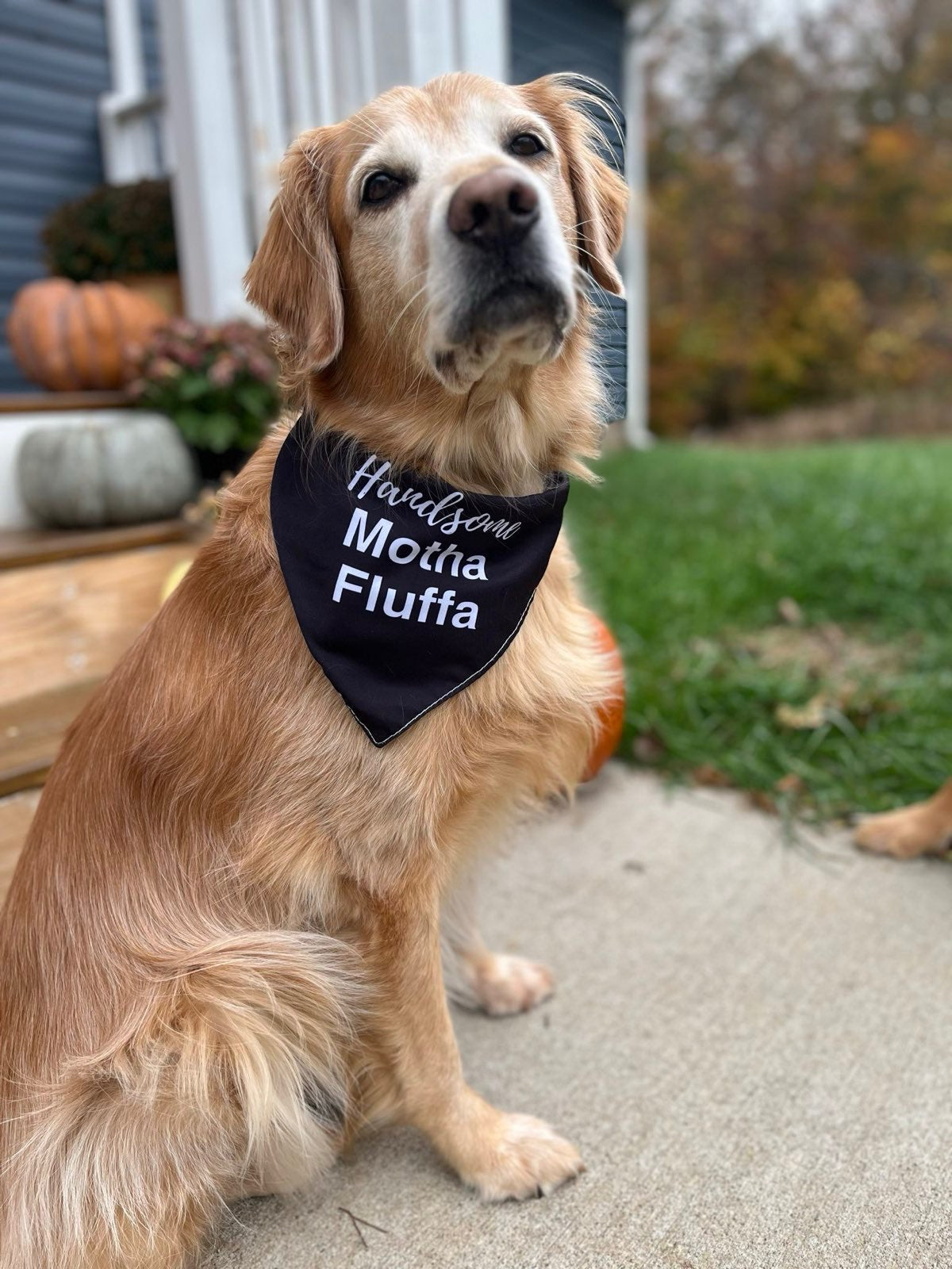Motha Fluffa Dog Bandana