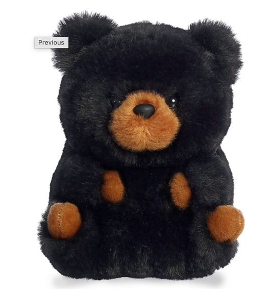 Black Bear