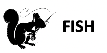 Fly Fishing Session