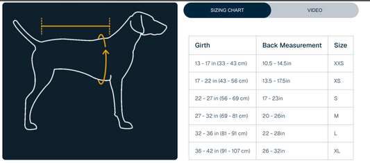 Confluence™ Dog Life Jacket