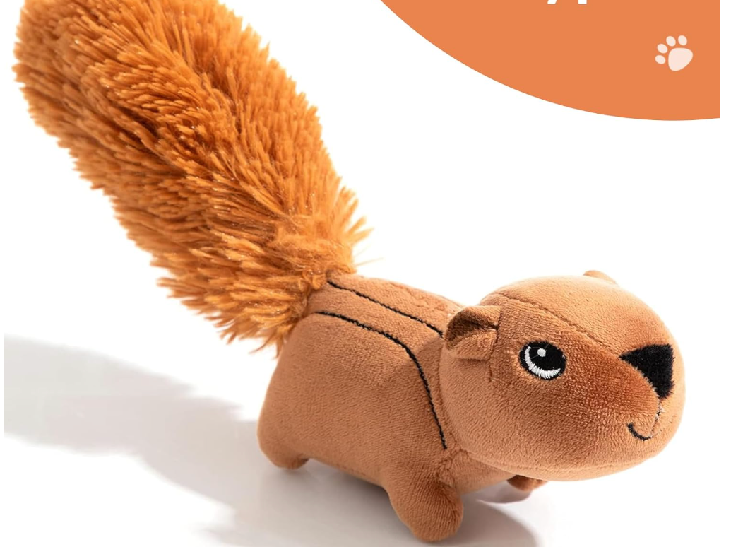 ALL FOR PAWS Durable Plush Dog Toys: The Hollypet