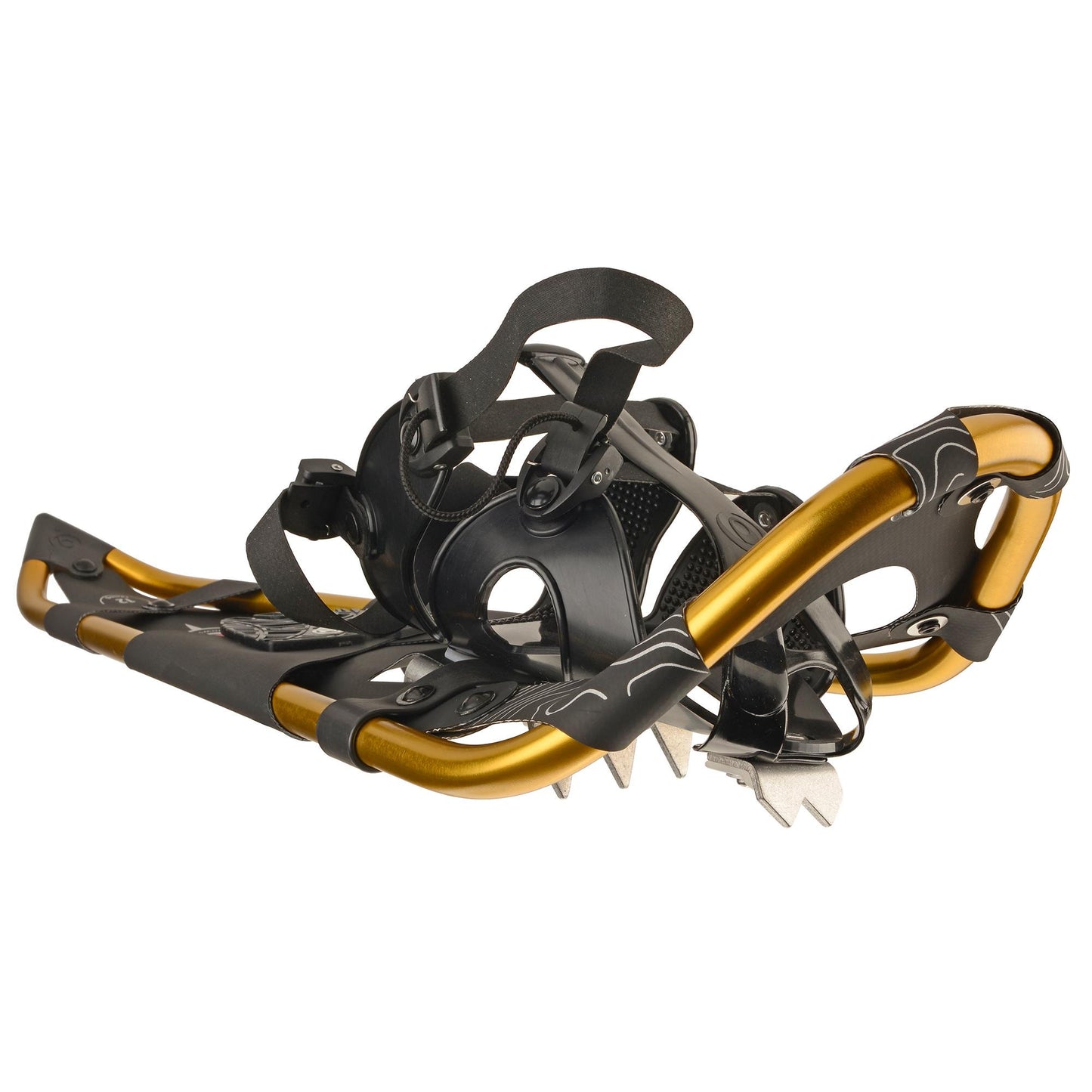 Snowshoes - Yellowstone