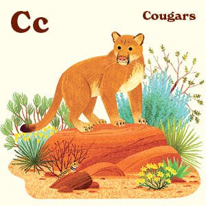 Animals of the National Parks