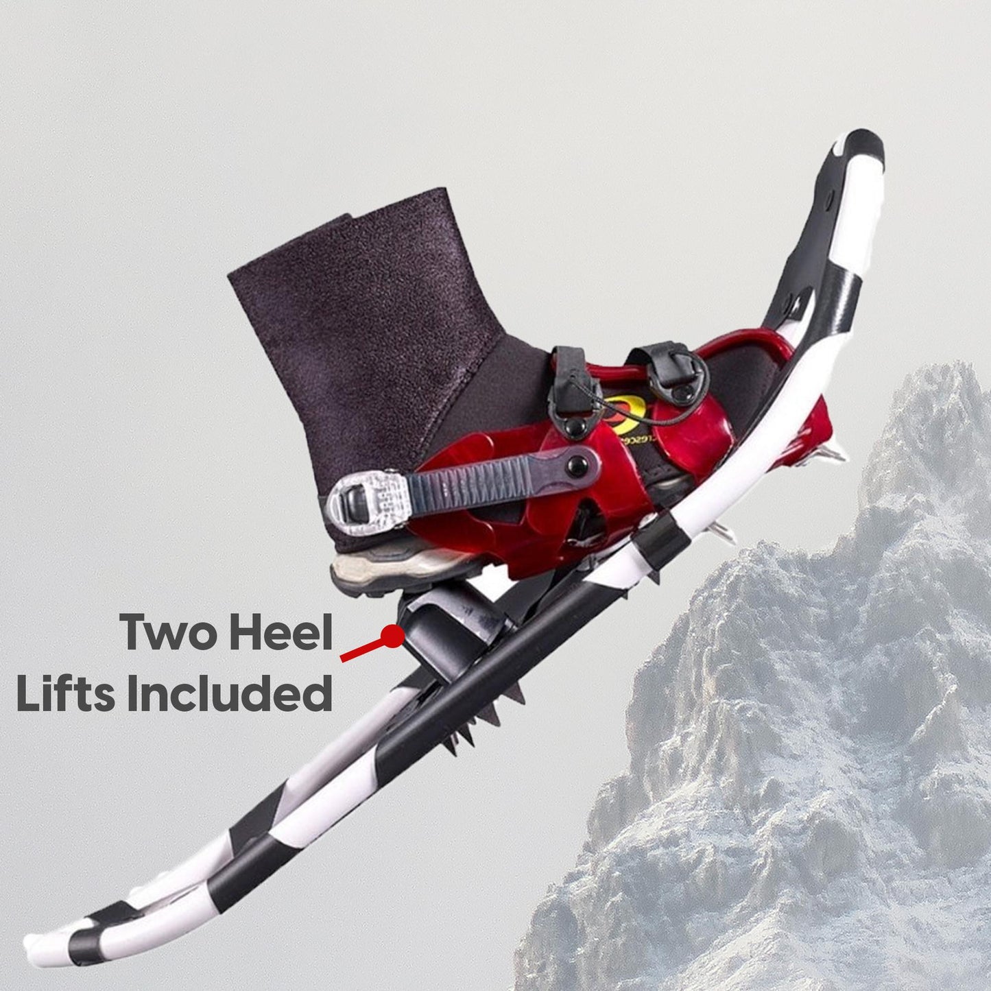 Snowshoes - Yellowstone