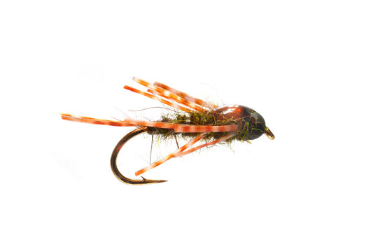 Boroff's Crazy Leg Stone Olive